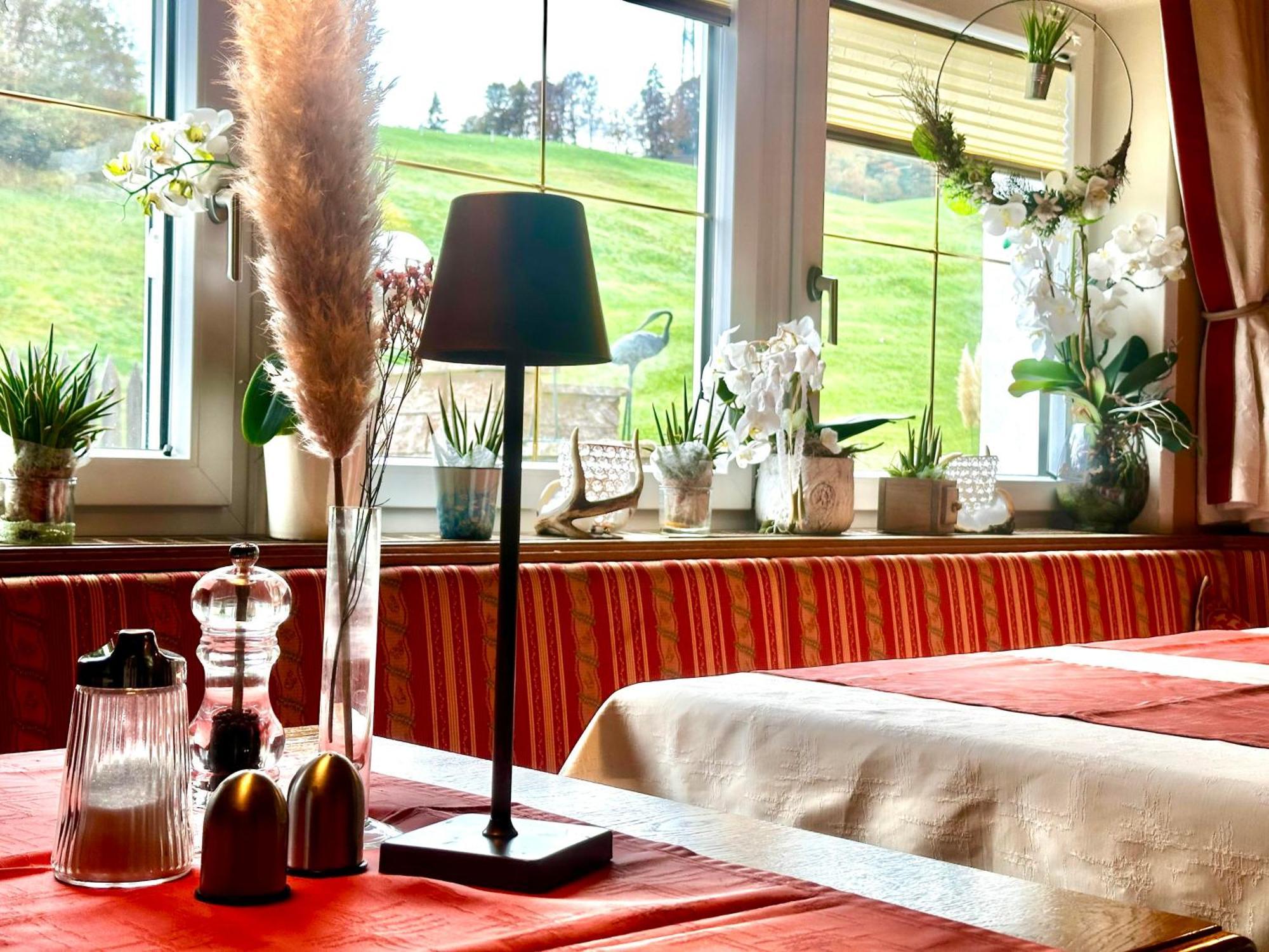 Pension Edelweiss Breitenbach am Inn Экстерьер фото