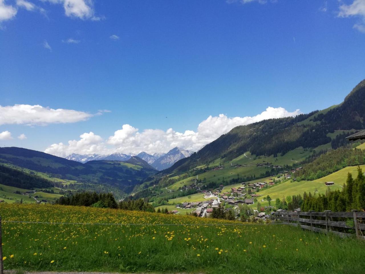 Pension Edelweiss Breitenbach am Inn Экстерьер фото